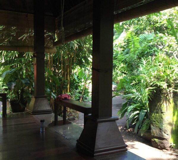 Olop Yoga Studio