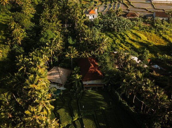 Samyama Meditation Center - Yoga & Meditation Retreats in Bali