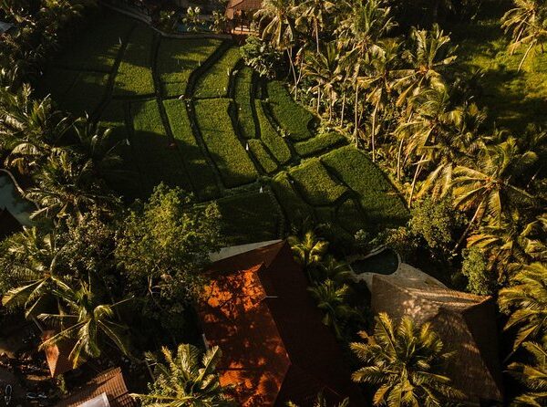 Samyama Meditation Center - Yoga & Meditation Retreats in Bali