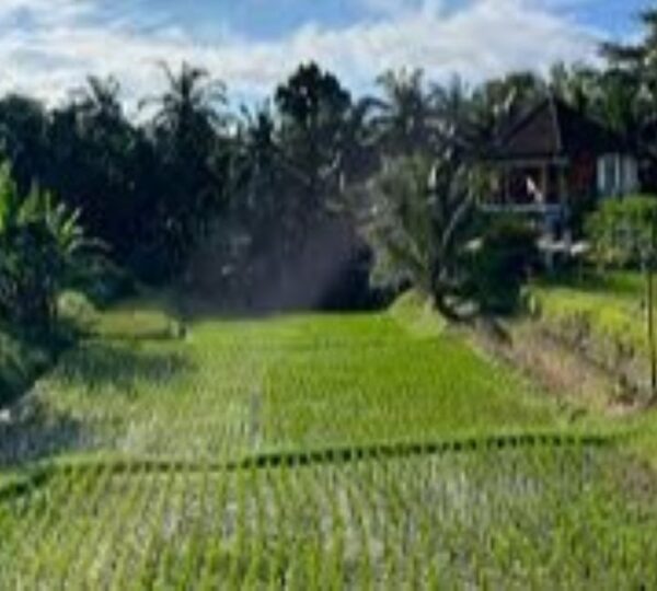 T Glow Spa Ubud